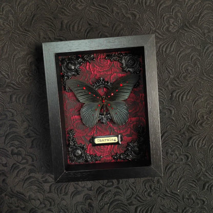 Papilio Memnon Butterfly Frame