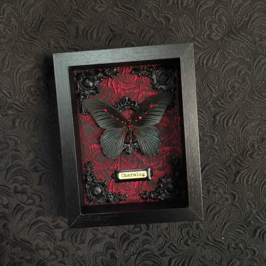 Papilio Memnon Butterfly Frame