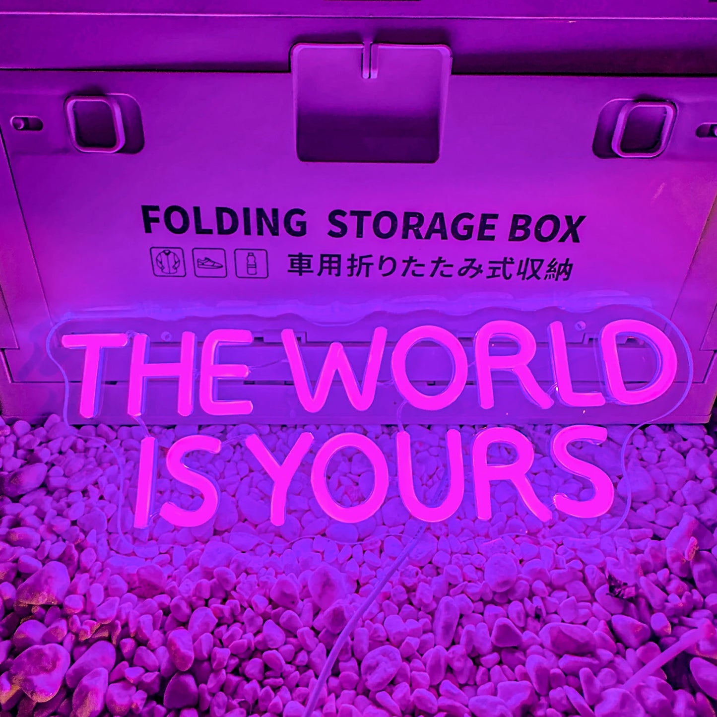 Neon Signs The World Is Yours Light Up