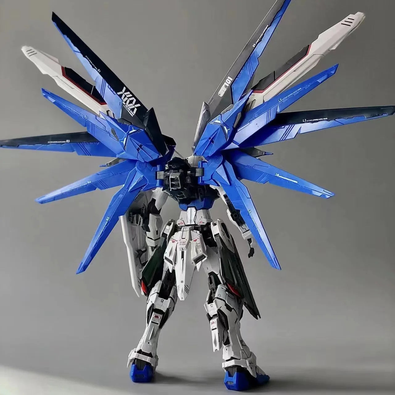 Midnight Black Strike Freedom MG Figure Model Kit
