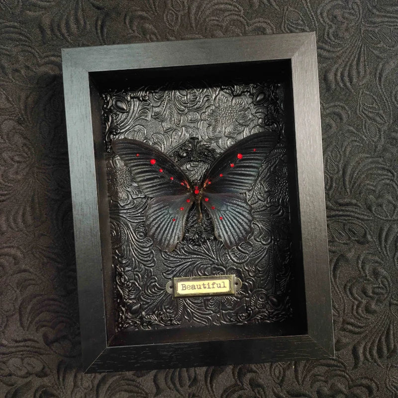 Papilio Memnon Butterfly Frame