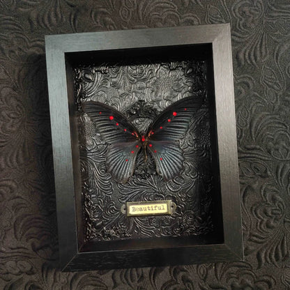 Papilio Memnon Butterfly Frame