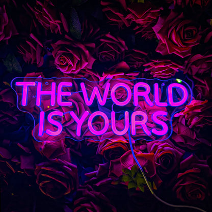 Neon Signs The World Is Yours Light Up