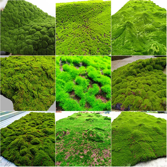 Grass Mat Moss Carpet Outdoor Garden Decorations