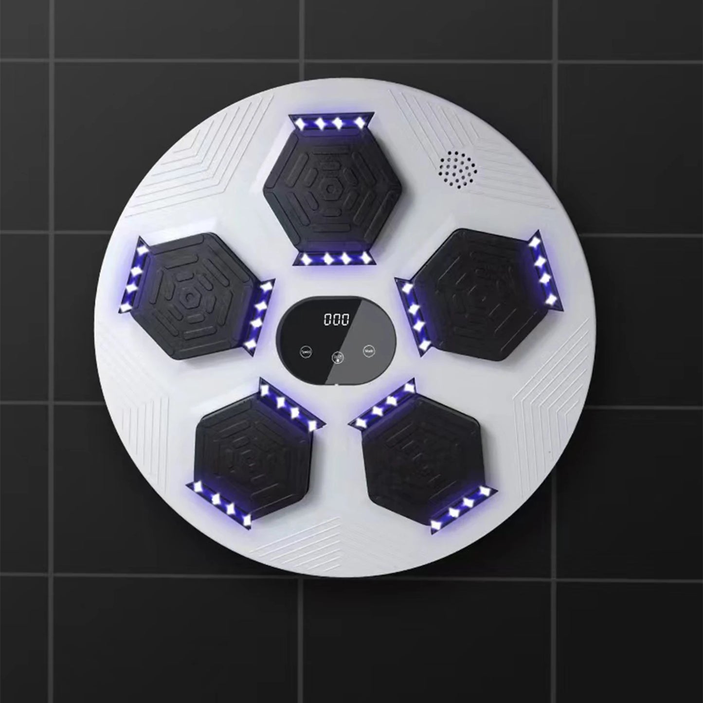 Training Wall Target for Boxing Reaction Sports