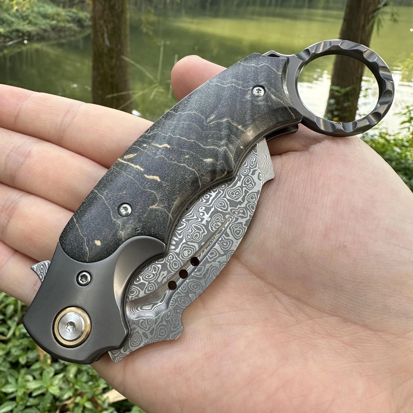 Topwell VG10 Damascus Claw Knife & Leather Sheath