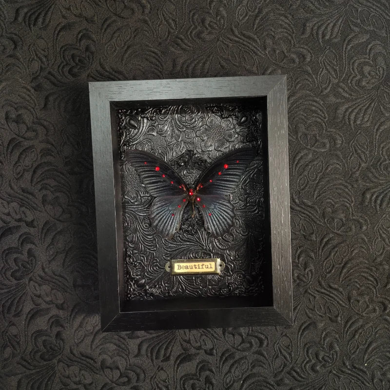 Papilio Memnon Butterfly Frame