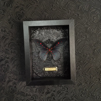 Papilio Memnon Butterfly Frame