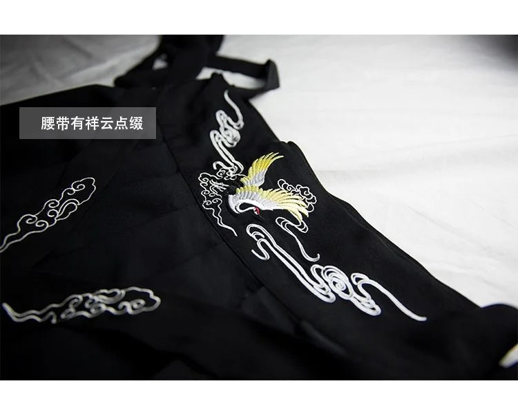Vintage Knight Hanfu Robe: Cosplay & Dance Attire